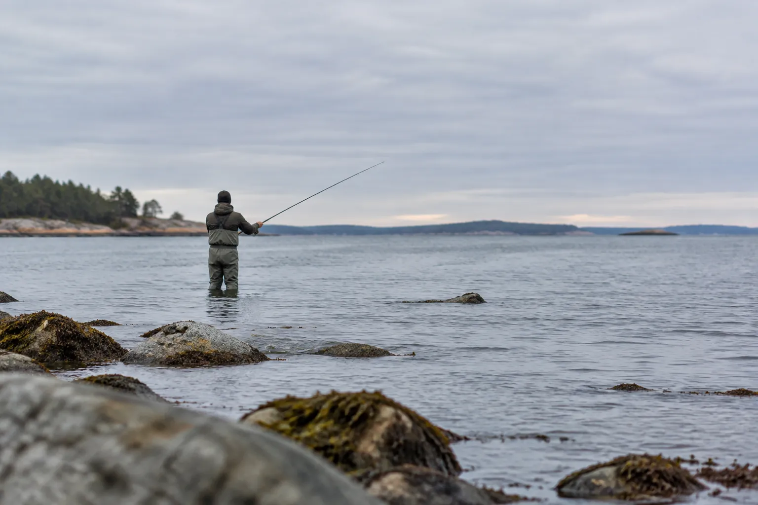 Fiskare i vadarbyxor kastar från stenig strand